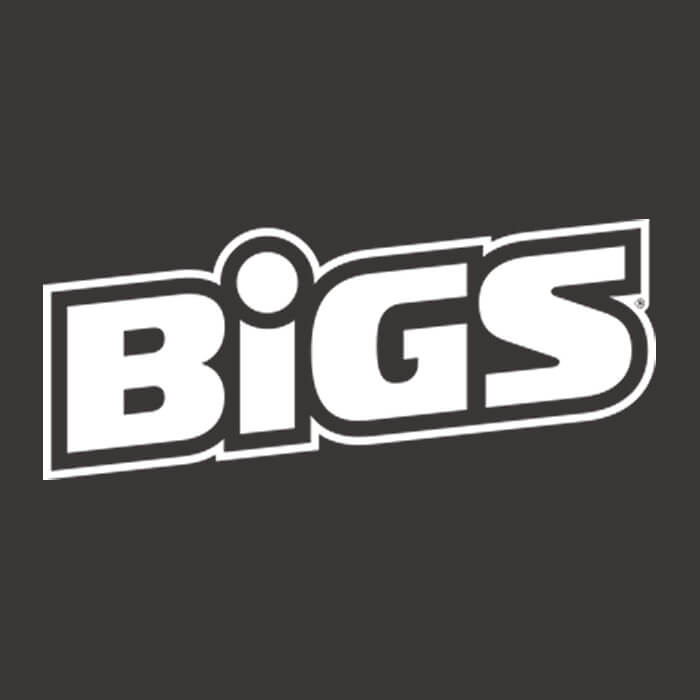 BiGS logo
